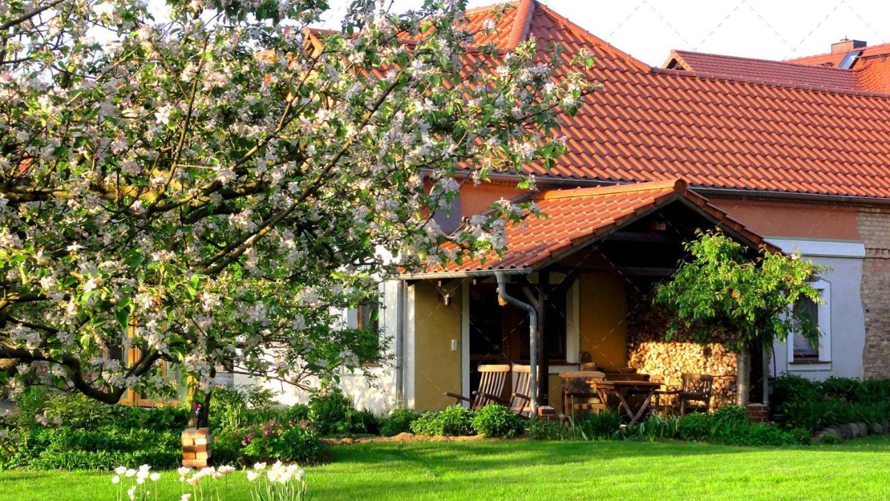 Janischs Fewo Im Spreewald, Terrasse, Grosser Garten Und Blick Inklusive Unterspreewald Ngoại thất bức ảnh