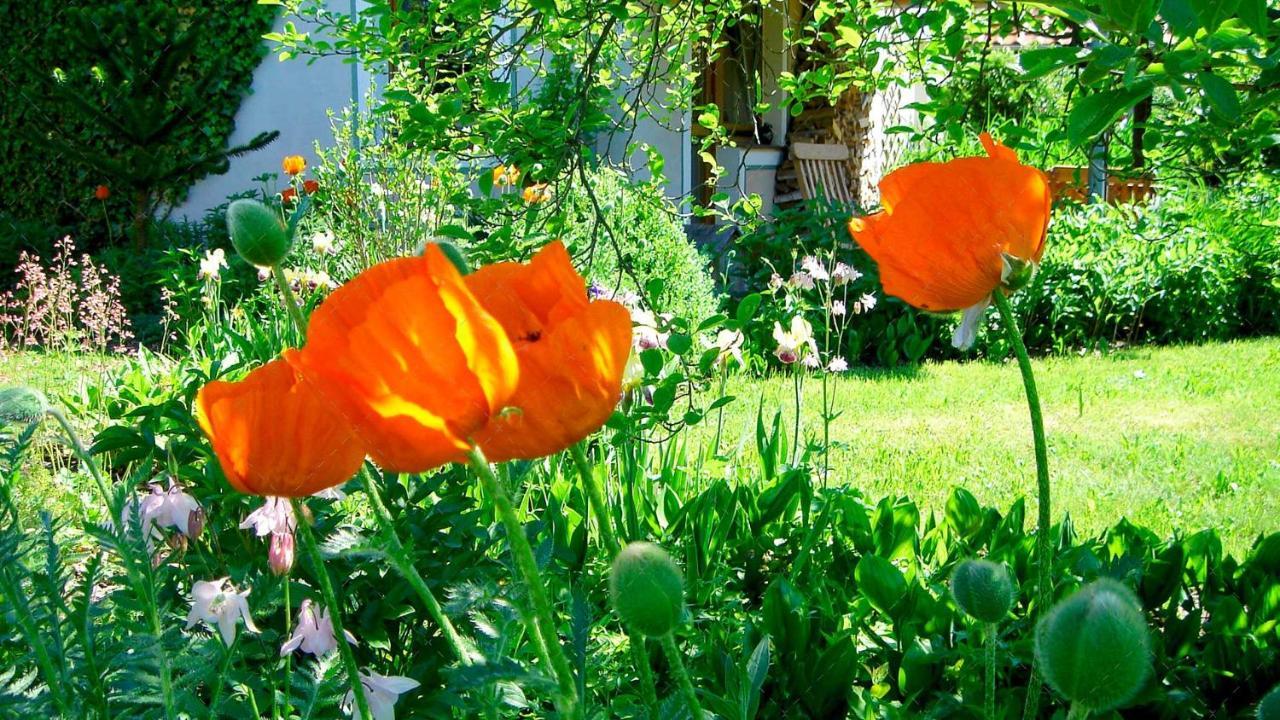 Janischs Fewo Im Spreewald, Terrasse, Grosser Garten Und Blick Inklusive Unterspreewald Ngoại thất bức ảnh