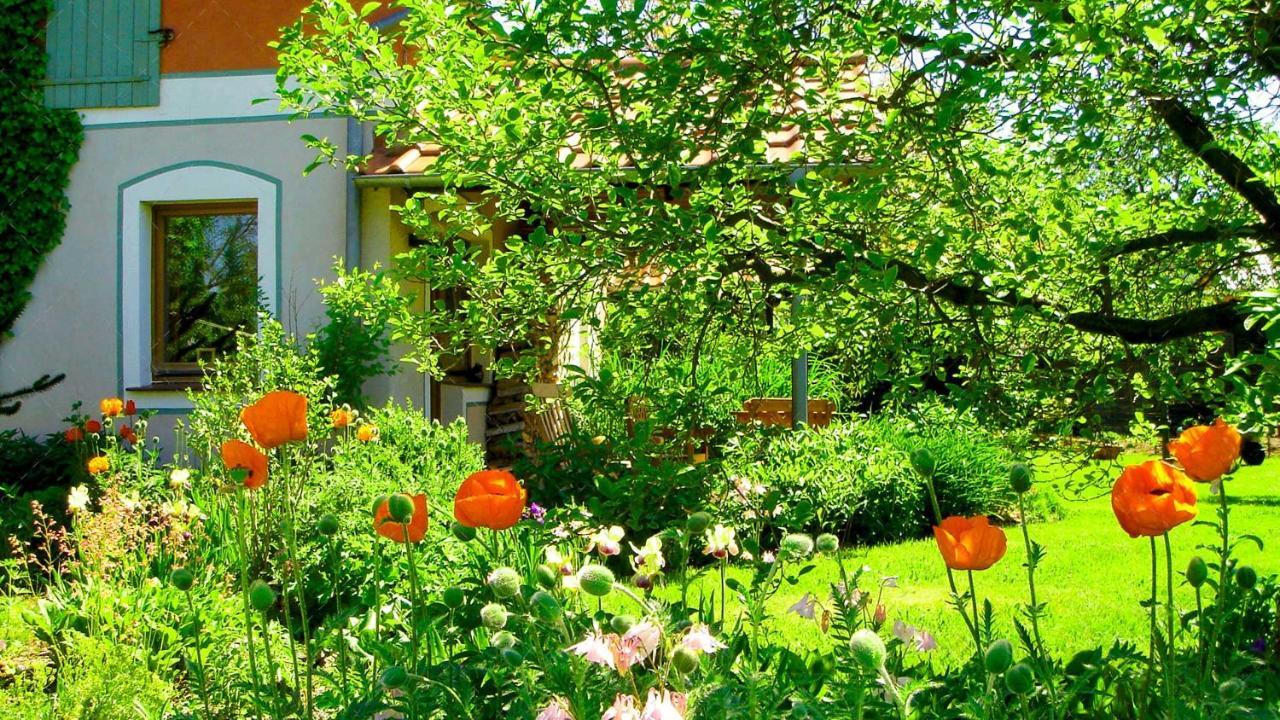 Janischs Fewo Im Spreewald, Terrasse, Grosser Garten Und Blick Inklusive Unterspreewald Ngoại thất bức ảnh