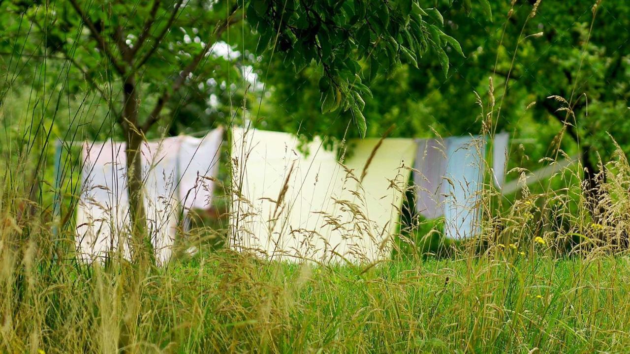 Janischs Fewo Im Spreewald, Terrasse, Grosser Garten Und Blick Inklusive Unterspreewald Ngoại thất bức ảnh