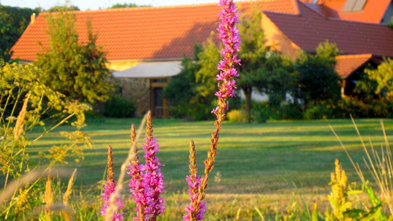 Janischs Fewo Im Spreewald, Terrasse, Grosser Garten Und Blick Inklusive Unterspreewald Ngoại thất bức ảnh