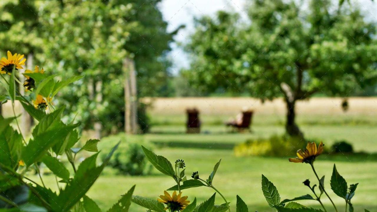 Janischs Fewo Im Spreewald, Terrasse, Grosser Garten Und Blick Inklusive Unterspreewald Ngoại thất bức ảnh
