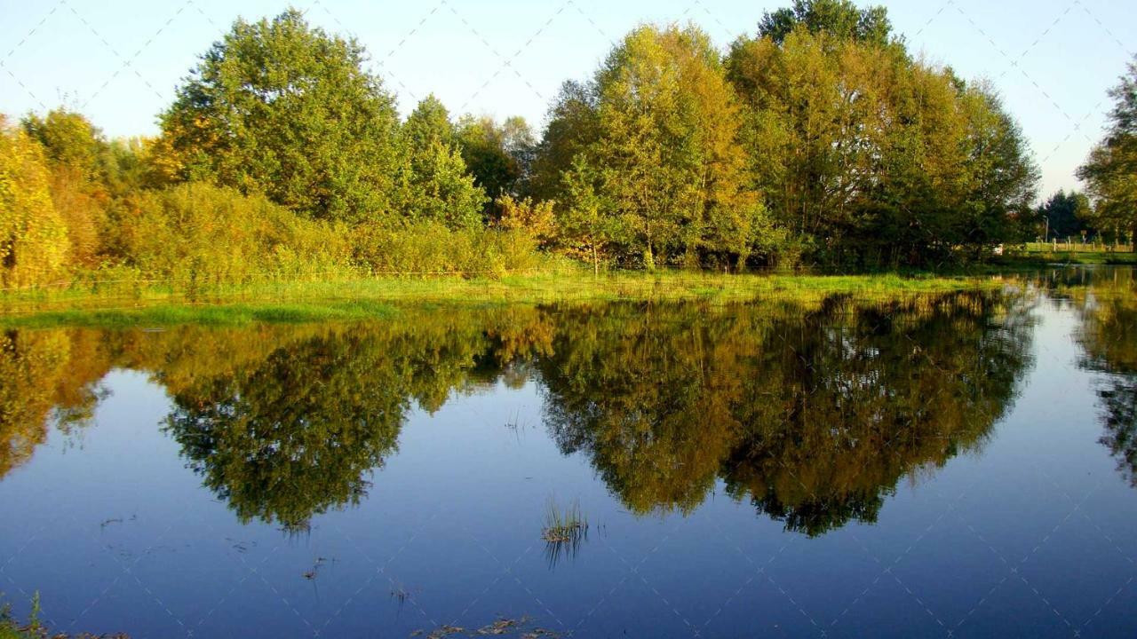 Janischs Fewo Im Spreewald, Terrasse, Grosser Garten Und Blick Inklusive Unterspreewald Ngoại thất bức ảnh
